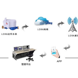 LoRa遠(yuǎn)傳水表